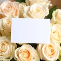 Bouquet of beautiful roses with blank card, closeup Royalty Free Stock Photo