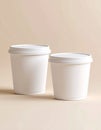 Two White Food Containers Mockup Royalty Free Stock Photo