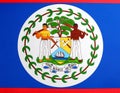 Flag of Belize as background, top view Royalty Free Stock Photo