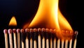 A row of wooden matches on fire Royalty Free Stock Photo