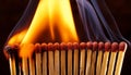 A row of wooden matches on fire Royalty Free Stock Photo