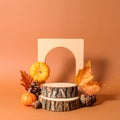 Stylish presentation for product. Wooden stumps, geometric figure and autumn decor Royalty Free Stock Photo