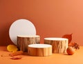 Stylish presentation for product. Wooden stumps, geometric figure and autumn decor Royalty Free Stock Photo