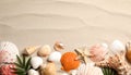 Different beautiful sea shells on sand, flat lay. Space for text Royalty Free Stock Photo