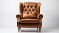 Luxurious brown leather armchair Royalty Free Stock Photo