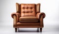 Luxurious brown leather armchair Royalty Free Stock Photo