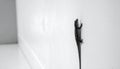 Close-up of lizard climbing smooth white wall with minimalist composition and strong contrast Royalty Free Stock Photo