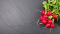 Colorful radishes with leafy greens arranged on dark slate surface Royalty Free Stock Photo
