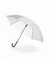 Open umbrella blown by wind gust on white background Royalty Free Stock Photo
