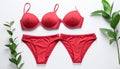 Stylish red women\'s underwear on white background, closeup Royalty Free Stock Photo