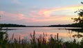Wide shot of calm lake reflecting soft pink and orange clouds at sunset framed by late summer wildflowers Royalty Free Stock Photo