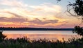 Wide shot of calm lake reflecting soft pink and orange clouds at sunset framed by late summer wildflowers Royalty Free Stock Photo