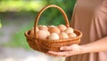 Woman with a basket of raw eggs with blurred background, closed Royalty Free Stock Photo