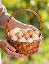 Woman with a basket of raw eggs with blurred background, closed Royalty Free Stock Photo