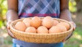 Woman with a basket of raw eggs with blurred background, closed Royalty Free Stock Photo