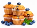 Delicious blueberry muffins stacked on a white background. Royalty Free Stock Photo
