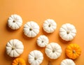 Flat lay composition with different ripe pumpkins on orange background Royalty Free Stock Photo