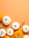 Flat lay composition with different ripe pumpkins on orange background Royalty Free Stock Photo