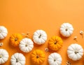 Flat lay composition with different ripe pumpkins on orange background Royalty Free Stock Photo