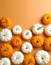 Flat lay composition with different ripe pumpkins on orange background Royalty Free Stock Photo