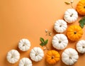 Flat lay composition with different ripe pumpkins on orange background Royalty Free Stock Photo