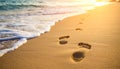 Footprints in sand with approaching waves at sunset Royalty Free Stock Photo