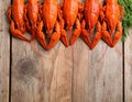 Delicious boiled crayfishes on wooden table, top view Royalty Free Stock Photo