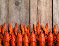 Delicious boiled crayfishes on wooden table, top view Royalty Free Stock Photo