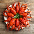 Delicious boiled crayfishes on wooden table, top view Royalty Free Stock Photo
