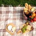 Flat lay composition with picnic basket and products on checkered blanket outdoor Royalty Free Stock Photo