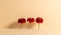 Three small red asters in soft focus on warm beige gradient Royalty Free Stock Photo