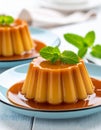 Karamel soslu lezzetli puding ve sofrada nane Royalty Free Stock Photo