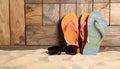 Bright flip flops and sunglasses on sand near wooden wall, space for text. Summer beach Royalty Free Stock Photo