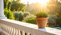 White stone balcony with single terracotta pot, overlooking sunlit garden, warm morning light, top-right angle Royalty Free Stock Photo