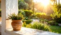 White stone balcony with single terracotta pot, overlooking sunlit garden, warm morning light, top-right angle Royalty Free Stock Photo