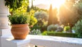 White stone balcony with single terracotta pot, overlooking sunlit garden, warm morning light, top-right angle Royalty Free Stock Photo