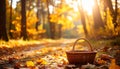 Golden hour fall forest blur with small wicker basket in bottom-right corner Royalty Free Stock Photo