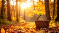 Golden hour fall forest blur with small wicker basket in bottom-right corner Royalty Free Stock Photo