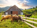 Beautiful day on the farm with the animals Royalty Free Stock Photo