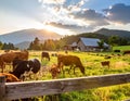 Beautiful day on the farm with the animals Royalty Free Stock Photo