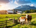 Beautiful day on the farm with the animals Royalty Free Stock Photo