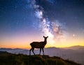 The silhouette of a majestic deer standing on a hill under the breathtaking view Royalty Free Stock Photo