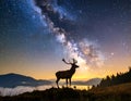 The silhouette of a majestic deer standing on a hill under the breathtaking view Royalty Free Stock Photo