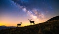 The silhouette of a majestic deer standing on a hill under the breathtaking view Royalty Free Stock Photo