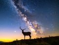 The silhouette of a majestic deer standing on a hill under the breathtaking view Royalty Free Stock Photo