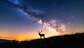 The silhouette of a majestic deer standing on a hill under the breathtaking view Royalty Free Stock Photo