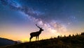 The silhouette of a majestic deer standing on a hill under the breathtaking view Royalty Free Stock Photo