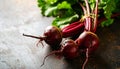 generated using AI.Three fresh beets (Beta vulgaris) with deep red skin and elongated taproots, Royalty Free Stock Photo