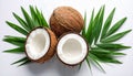 Fresh ripe coconuts with green leaves on white background Royalty Free Stock Photo