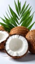 Fresh ripe coconuts with green leaves on white background Royalty Free Stock Photo
